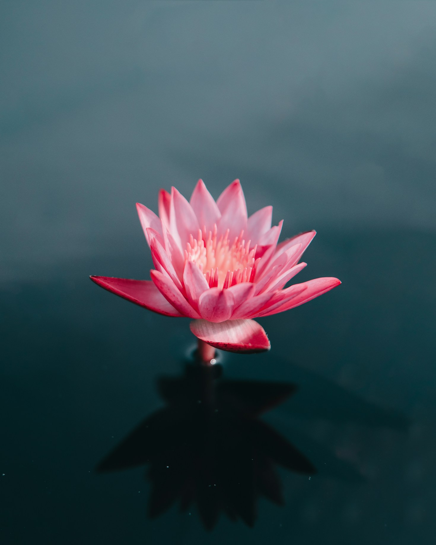 Overcoming Hardships Through Shared Moments
